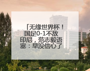 无缘世界杯！国足0-1不敌印尼，范志毅语塞：早没信心了但不甘心