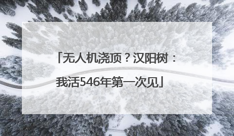 无人机浇顶？汉阳树：我活546年第一次见