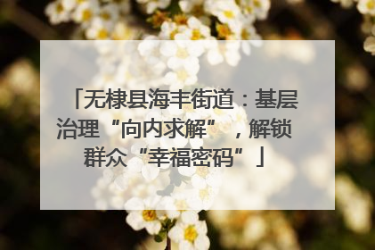 无棣县海丰街道：基层治理“向内求解”，解锁群众“幸福密码”