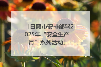 日照市安排部署2025年“安全生产月”系列活动