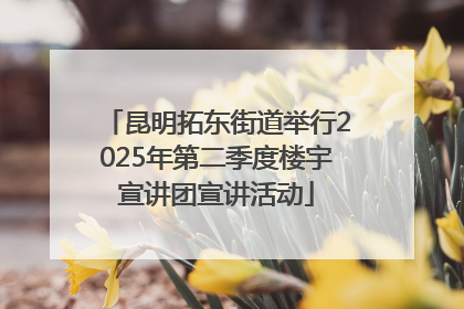昆明拓东街道举行2025年第二季度楼宇宣讲团宣讲活动