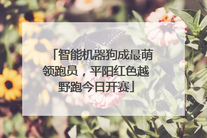 智能机器狗成最萌领跑员，平阳红色越野跑今日开赛