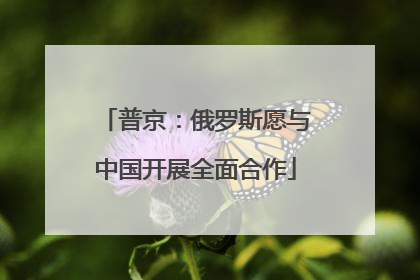 普京：俄罗斯愿与中国开展全面合作