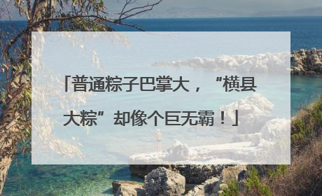 普通粽子巴掌大，“横县大粽”却像个巨无霸！