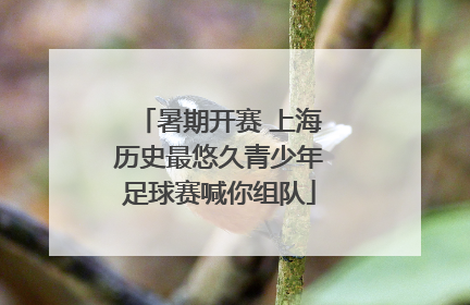 暑期开赛 上海历史最悠久青少年足球赛喊你组队