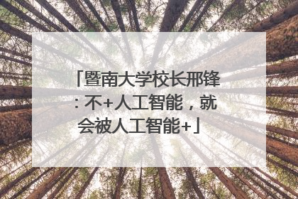 暨南大学校长邢锋：不+人工智能，就会被人工智能+