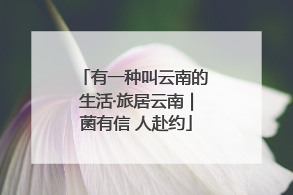 有一种叫云南的生活·旅居云南｜菌有信 人赴约