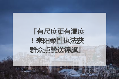 有尺度更有温度！耒阳柔性执法获群众点赞送锦旗