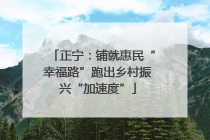 正宁：铺就惠民“幸福路”跑出乡村振兴“加速度”