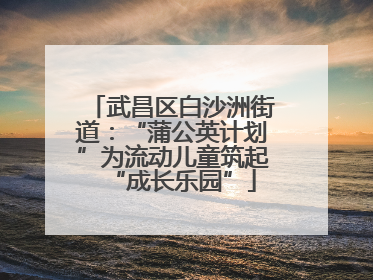 武昌区白沙洲街道：“蒲公英计划”为流动儿童筑起“成长乐园”