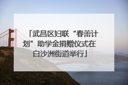 武昌区妇联“春蕾计划”助学金捐赠仪式在白沙洲街道举行