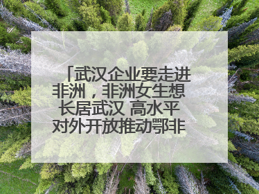 武汉企业要走进非洲，非洲女生想长居武汉 高水平对外开放推动鄂非双向奔赴