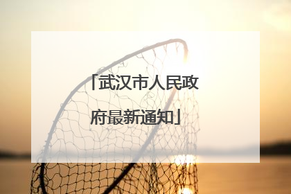 武汉市人民政府最新通知