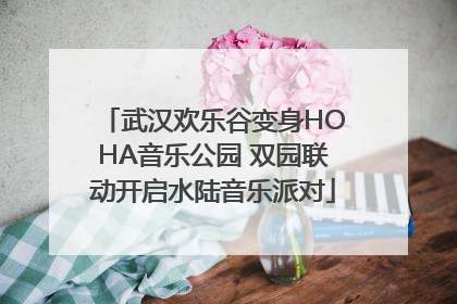 武汉欢乐谷变身HOHA音乐公园 双园联动开启水陆音乐派对