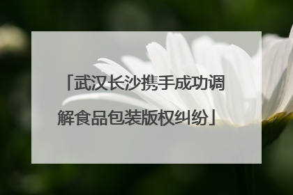武汉长沙携手成功调解食品包装版权纠纷