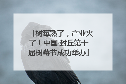 树莓熟了，产业火了！中国·封丘第十届树莓节成功举办
