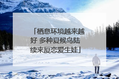 栖息环境越来越好 多种夏候鸟陆续来厦恋爱生娃