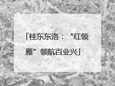 桂东东洛：“红领雁”领航百业兴