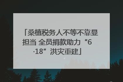 桑植税务人不等不靠显担当 全员捐款助力“6·18”洪灾重建