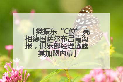 樊振东“C位”亮相德国萨尔布吕肯海报，俱乐部经理透露其加盟内幕