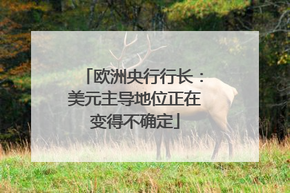 欧洲央行行长：美元主导地位正在变得不确定