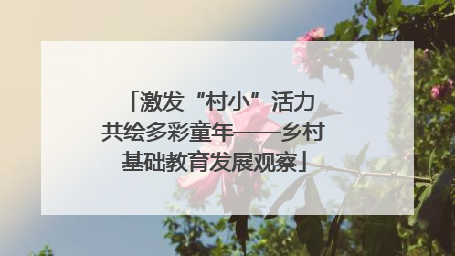 激发“村小”活力 共绘多彩童年——乡村基础教育发展观察