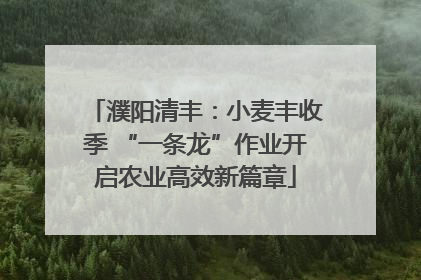 濮阳清丰：小麦丰收季 “一条龙”作业开启农业高效新篇章