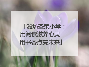 潍坊圣荣小学：用阅读滋养心灵 用书香点亮未来