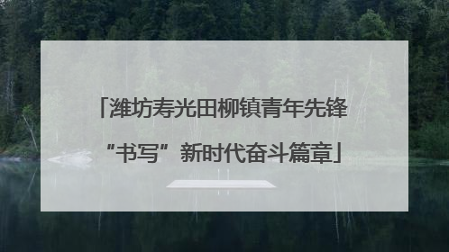 潍坊寿光田柳镇青年先锋“书写”新时代奋斗篇章