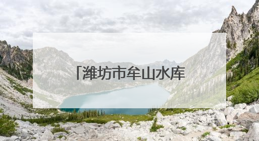 潍坊市牟山水库党总支：科学调配水资源 保障区域供水安全