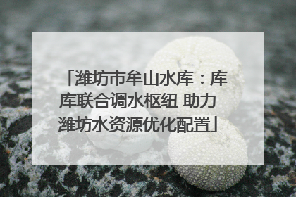潍坊市牟山水库：库库联合调水枢纽 助力潍坊水资源优化配置