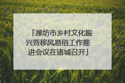 潍坊市乡村文化振兴暨移风易俗工作推进会议在诸城召开