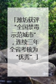 潍坊获评“全国禁毒示范城市”，连续三年全省考核为“优秀”