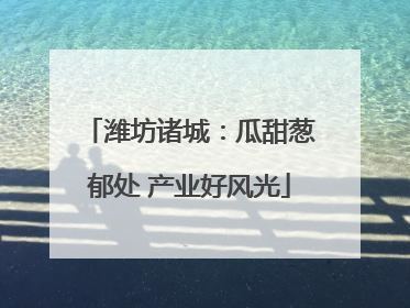潍坊诸城：瓜甜葱郁处 产业好风光