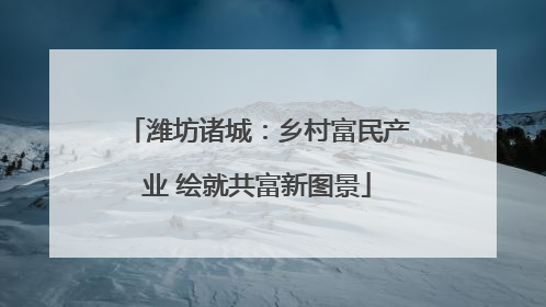 潍坊诸城：乡村富民产业 绘就共富新图景