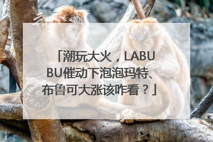 潮玩大火，LABUBU催动下泡泡玛特、布鲁可大涨该咋看？