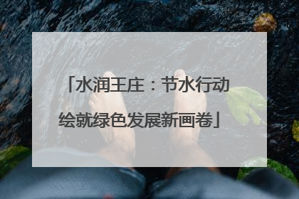 水润王庄：节水行动绘就绿色发展新画卷