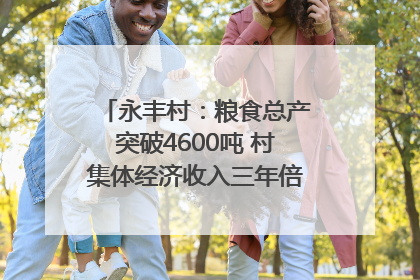永丰村：粮食总产突破4600吨 村集体经济收入三年倍增｜牵挂的村