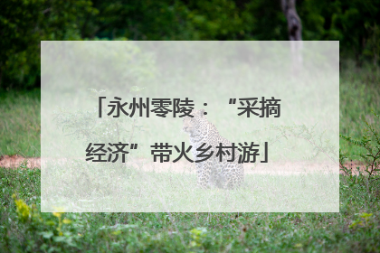 永州零陵：“采摘经济”带火乡村游