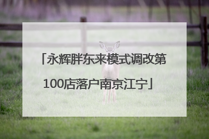 永辉胖东来模式调改第100店落户南京江宁