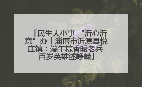 民生大小事 “沂心沂意”办丨淄博市沂源县悦庄镇：端午粽香暖老兵 百岁英雄述峥嵘