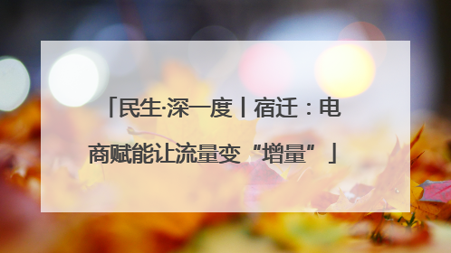 民生·深一度丨宿迁：电商赋能让流量变“增量”