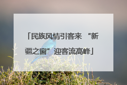 民族风情引客来 “新疆之窗”迎客流高峰