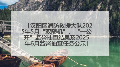 汉阳区消防救援大队2025年5月“双随机”、“一公开”监督抽查结果及2025年6月监督抽查任务公示