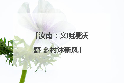 汝南：文明浸沃野 乡村沐新风