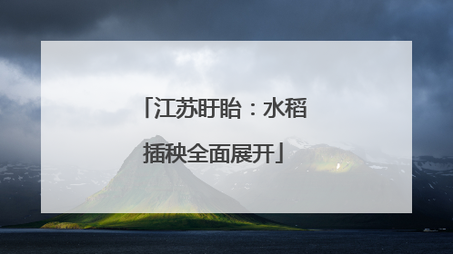 江苏盱眙：水稻插秧全面展开