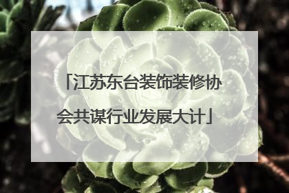 江苏东台装饰装修协会共谋行业发展大计