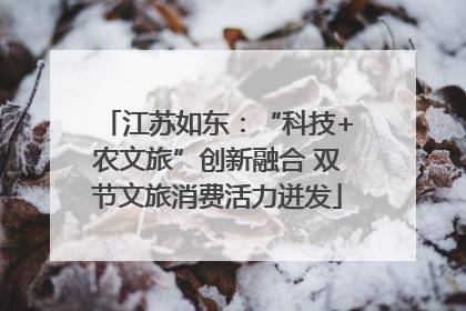 江苏如东：“科技+农文旅”创新融合 双节文旅消费活力迸发