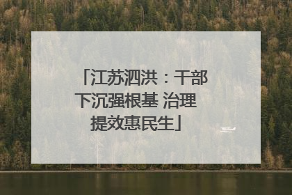 江苏泗洪：干部下沉强根基 治理提效惠民生