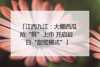 江西九江：大棚西瓜抢“鲜”上市 开启夏日“甜蜜模式”